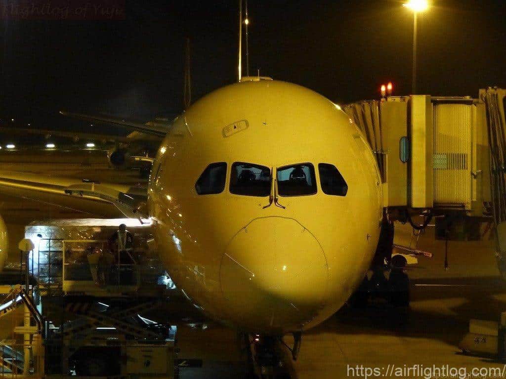 JAL B787-9