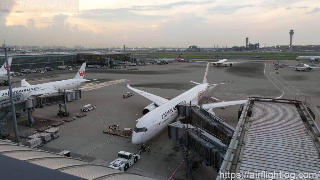 JAL A350-1000 機材