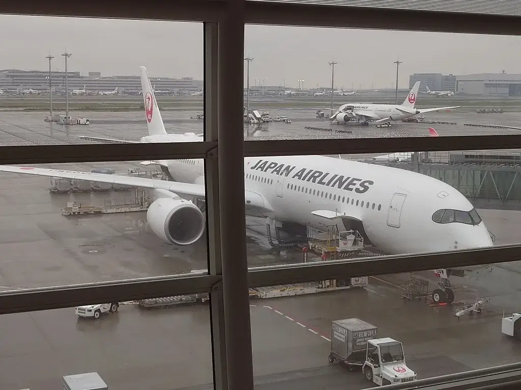 JAL A350-1000 国際線機材