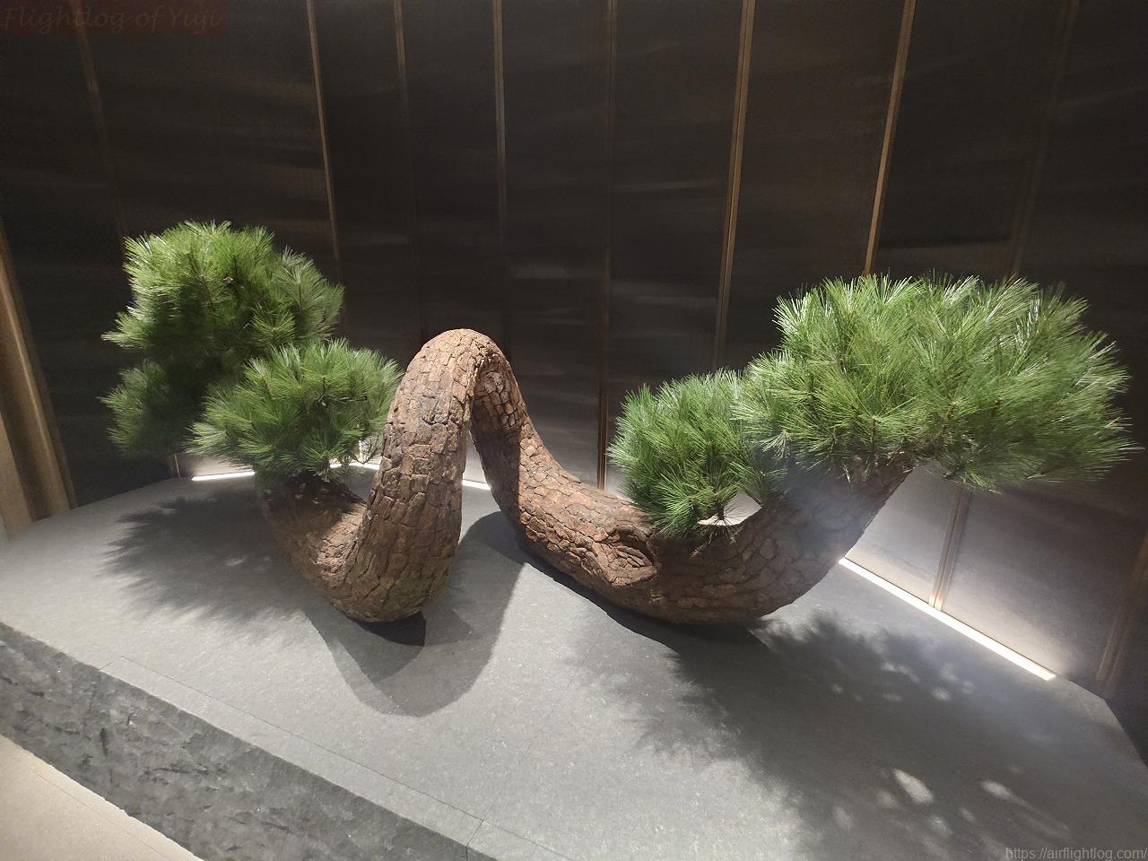 【訪問記】NEW羽田空港国内線JALファーストクラスラウンジはどう?リニューアルされた選べる空間を使ってみた